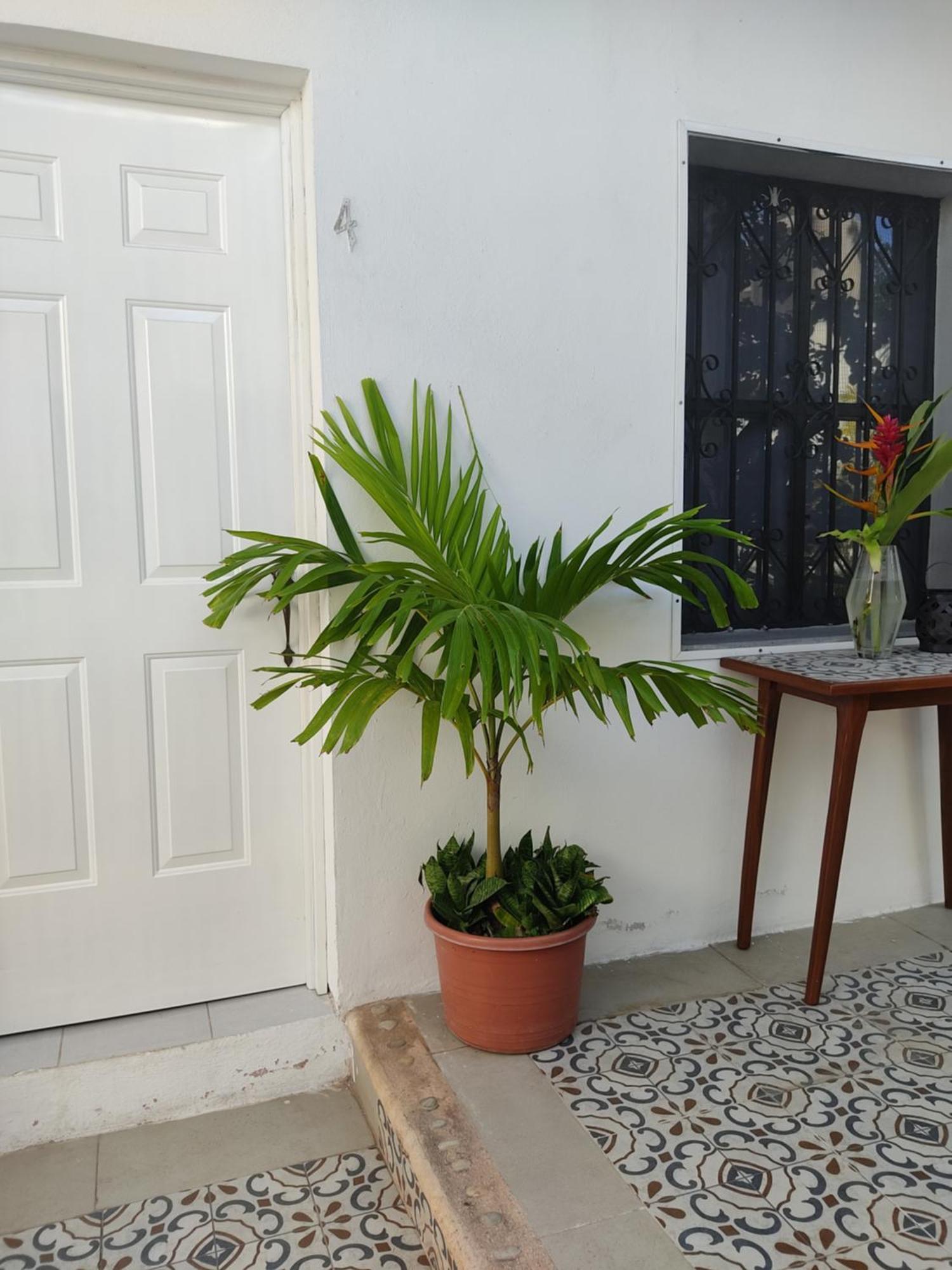 ואיאדוליד Casa Mercedes חדר תמונה